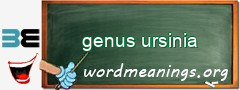 WordMeaning blackboard for genus ursinia